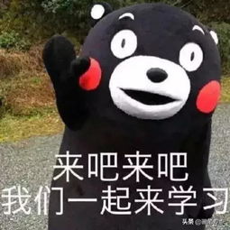学习专用表情包,学霸学神就进来收图