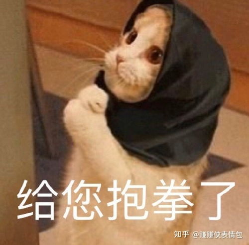 热门表情包图片出来玩,你说这话,我都不知道怎么接