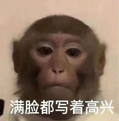 这辈子直了表情包猴子
