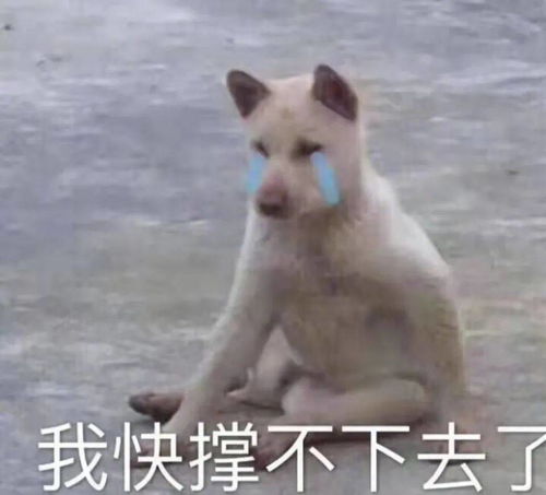 2021年度十大网络用语出炉,双语版本也来了