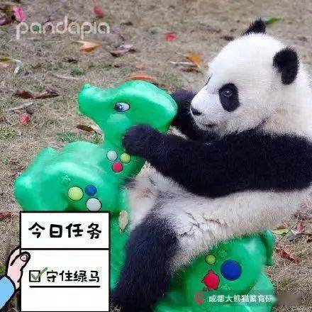 防疫措施上新全市首个刷脸亮码智慧小区登场