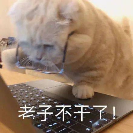 不想加班表情包