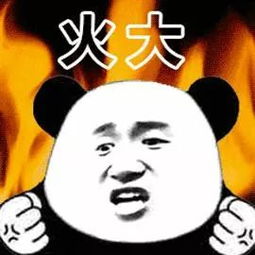 皮糙肉厚熔岩章鱼法术暴击火元素精灵
