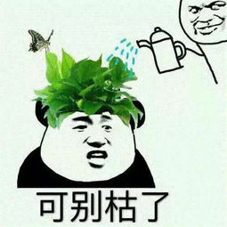 内容营销大行其道,如何掌控私域流量,做微淘种草达人