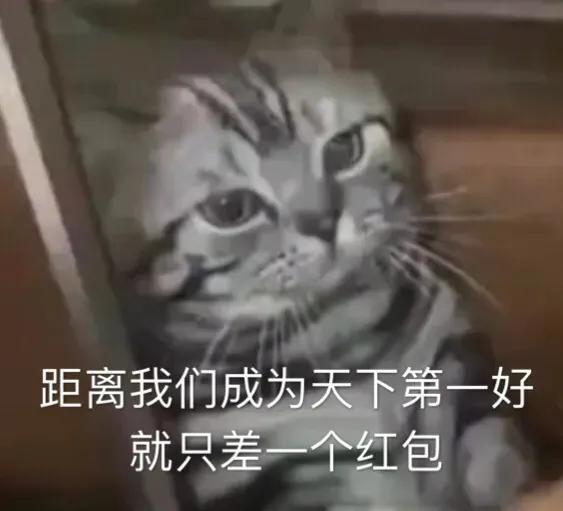 可爱表情包你不能拒绝我