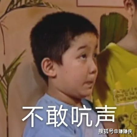 搞笑表情包图片森气,微信聊天天天见
