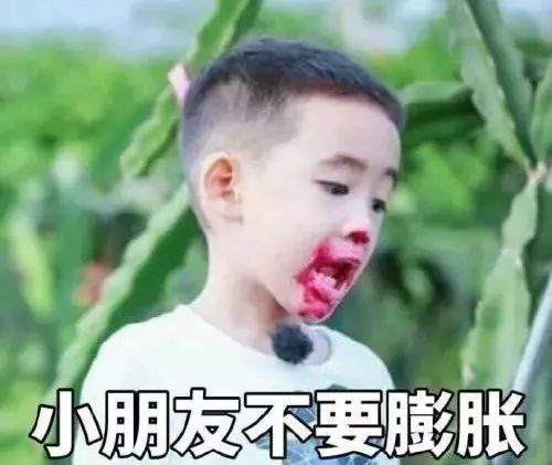 周末带孩子去,长在树上的红心火龙果等你采摘