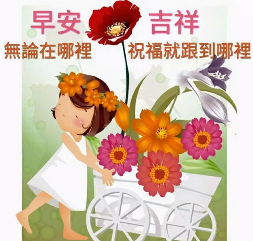 我的问候是一抹阳光,让你的心里洋溢温馨,早安