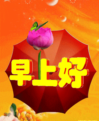 7张免打字聊天的早上好问候动画表情图片唯美冬日早安问候祝福动态图片表情精选