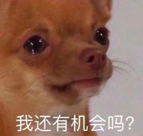 cp发糖表情包沙雕