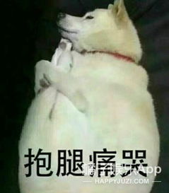 年度大戏白夜追凶编剧遭前女友起诉,实锤直指剽窃
