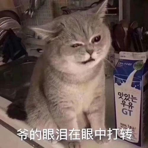 水,担心我们寝室迟早会因为追星爆发战争