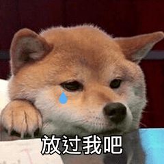 如何在家庭战场中生存
