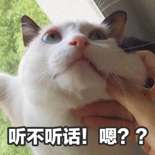 有福不享,没苦硬吃上热搜,吐槽新型老年人作死行为