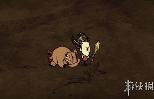 饥荒联机版全部生物睡觉姿势一览全生物睡姿汇总猪人