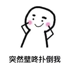 套路表情包男生期待女朋友做哪些事