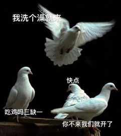 今晚几点吃鸡