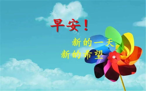 1月29日早上好祝福语问候语表情包早上好的短句子大全