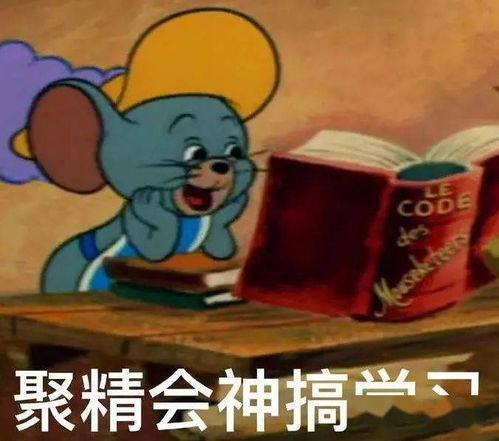 乐心坊叮你有一份期末助考攻略待查收