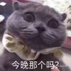 电话,地址,价格,营业时间