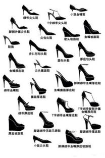 绘画