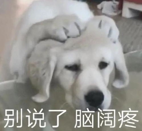 4.999g回归后,华为销量恢复到啥程度了
