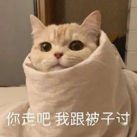 热门精选动态表情包