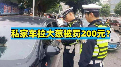 汽车拉大葱被罚200元车主反问交警自己的车,拉葱都不行