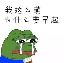 最新群聊斗图表情包,就你不喜欢