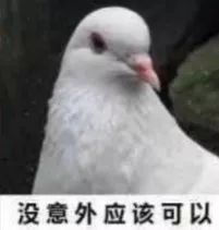 第一届放鸽子争霸赛,你的朋友里谁能赢