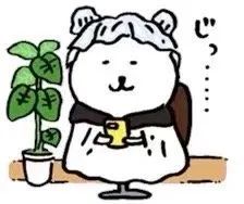 聊天小表情猪猪超可爱的