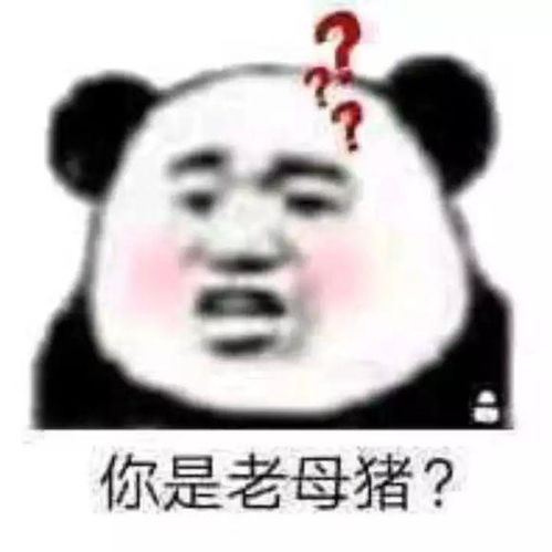 熊猫头表情包跟我去工地干活吧,我发现你特别能抬杠