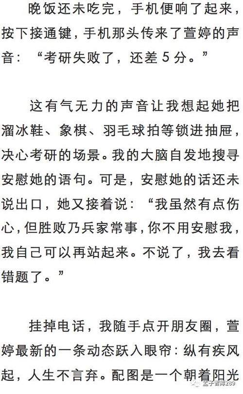 纵有疾风起,人生不言弃