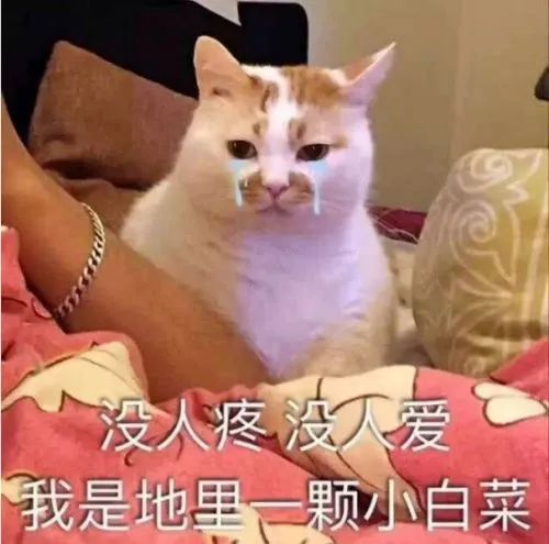 41岁的大s美过21岁的沈月,到底是怎么做到的