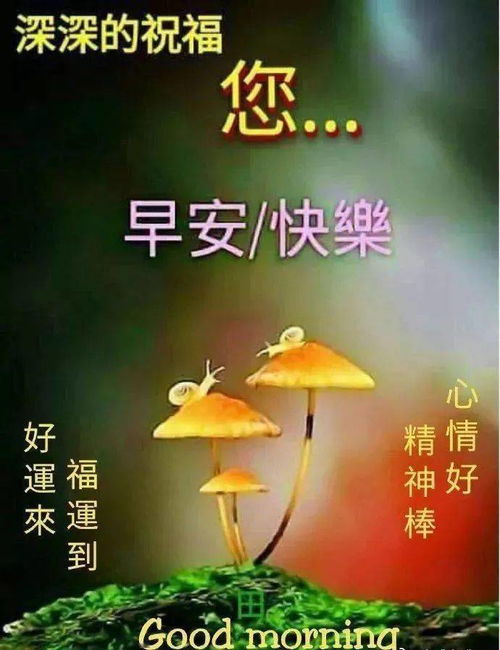 超好看的早上好问候祝福表情图片大全微信问候早上好温暖祝福语图片