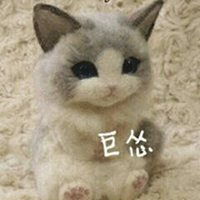 又乖又怂猫表情包微信头像图片大全
