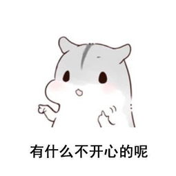 小仓鼠佛系表情包有什么不开心的呢,是你的自然不会走