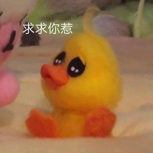 小黄鸭表情包