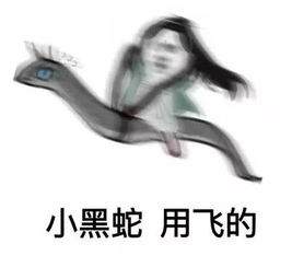 BOOM!表情包素素