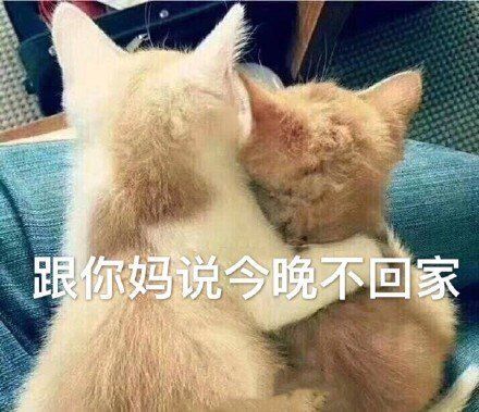 妈表情包图片大全亲妈