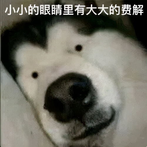 乔欣瘦出新高度你的焦虑,正在毁掉你的身材