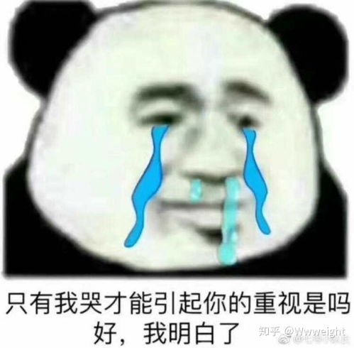 精神抖擞表情包熊猫眼想你