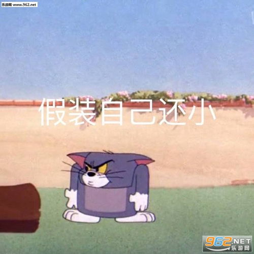 搞笑动态表情包下载猫和老鼠