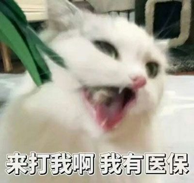 曝光这些重庆定点药店的骗保乱象,你的救命钱被人动了吗