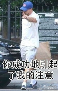 莱昂纳多奥斯卡表情包