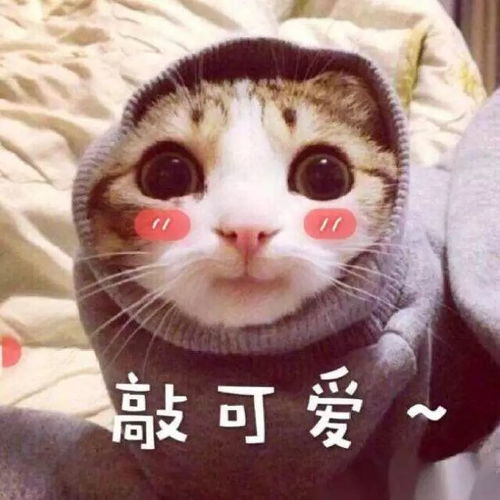 微信抱抱表情包图片孤独