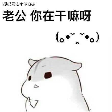 搞笑gif趣图看看人家的狗,啥都能做,再看看我家那个