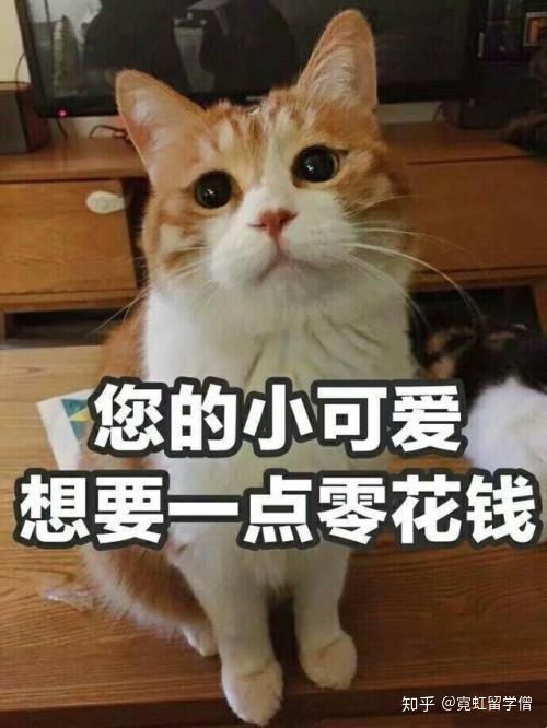 最详细的日本留学费用list