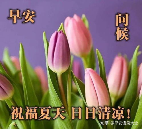 2021年5月23日星期天早上好问候语图片周日最新早安问候祝福图片带字