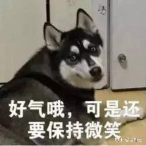 知友们,有在成都做过植发的吗效果怎么样呢